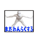 リアル白タイツくん(日常)（個別スタンプ：25）
