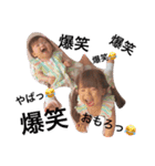 ひなおとしすたーズ（個別スタンプ：8）