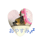 pino★nene（個別スタンプ：1）