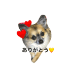 pino★nene（個別スタンプ：10）