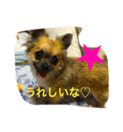 pino★nene（個別スタンプ：16）