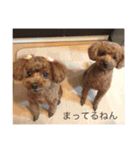まろんとくるみ（個別スタンプ：1）