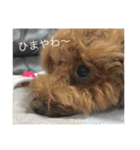まろんとくるみ（個別スタンプ：10）