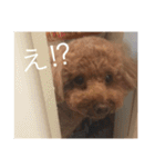まろんとくるみ（個別スタンプ：11）