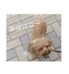 まろんとくるみ（個別スタンプ：15）