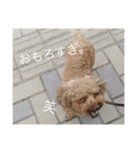 まろんとくるみ（個別スタンプ：18）
