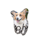 かんなさーん（個別スタンプ：14）