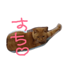 まっきーまきまき（個別スタンプ：3）