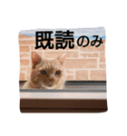 まっきーまきまき（個別スタンプ：5）