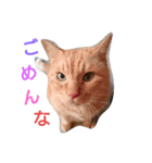まっきーまきまき（個別スタンプ：6）