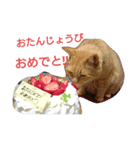 まっきーまきまき（個別スタンプ：8）