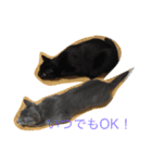 我が家の  猫たち（個別スタンプ：2）
