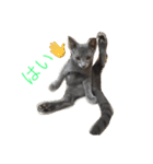 我が家の  猫たち（個別スタンプ：3）