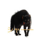 我が家の  猫たち（個別スタンプ：5）