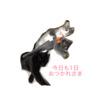 我が家の  猫たち（個別スタンプ：12）