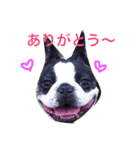 クレイ＆ボルダー（個別スタンプ：5）