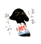 のんの日常（個別スタンプ：1）