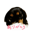 のんの日常（個別スタンプ：5）