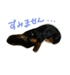 のんの日常（個別スタンプ：6）
