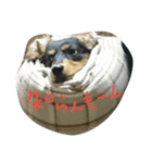 のんの日常（個別スタンプ：14）