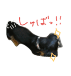 のんの日常（個別スタンプ：19）