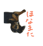 のんの日常（個別スタンプ：24）