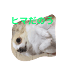ちろたん（個別スタンプ：4）