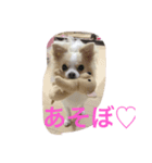 ちろたん（個別スタンプ：5）