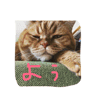 猫のような何か（個別スタンプ：1）