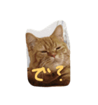 猫のような何か（個別スタンプ：9）