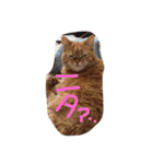 猫のような何か（個別スタンプ：16）