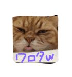 猫のような何か（個別スタンプ：17）