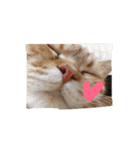 猫のような何か（個別スタンプ：32）