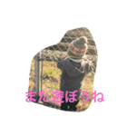 はるさんのにちじょう（個別スタンプ：13）