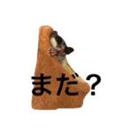 だらけモモンガ（個別スタンプ：11）