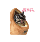 だらけモモンガ（個別スタンプ：12）