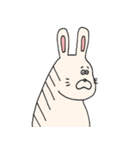 うさぎどんのラッキースタンプ（個別スタンプ：5）