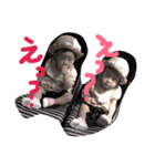 まお りお（個別スタンプ：1）