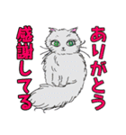 ペルとシャムの物語（個別スタンプ：1）