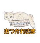 ペルとシャムの物語（個別スタンプ：2）