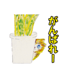 ペルとシャムの物語（個別スタンプ：8）