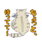 ペルとシャムの物語（個別スタンプ：10）
