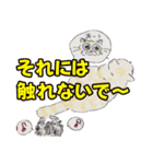 ペルとシャムの物語（個別スタンプ：31）