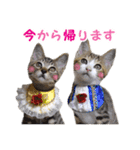 エビスくんとビシャちゃん(子猫編)（個別スタンプ：6）