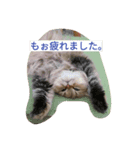 ボムとテム（個別スタンプ：4）
