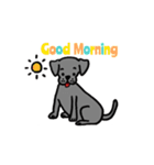 可愛いラブラドール犬（個別スタンプ：1）