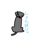 可愛いラブラドール犬（個別スタンプ：3）