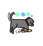 可愛いラブラドール犬（個別スタンプ：6）