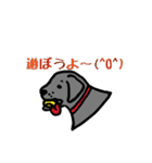 可愛いラブラドール犬（個別スタンプ：11）