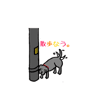 可愛いラブラドール犬（個別スタンプ：12）